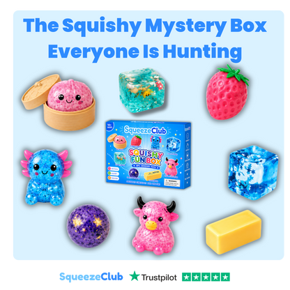 SqueezeClub™ Squishy Mystery Box